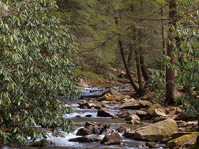 Adams Falls, PA