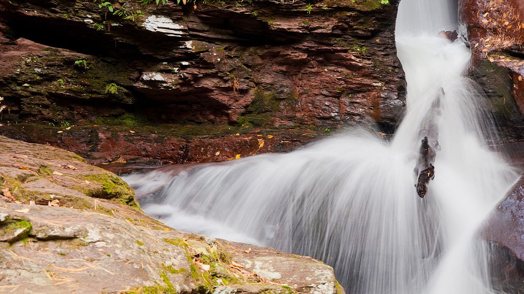 Adams Falls waterfall