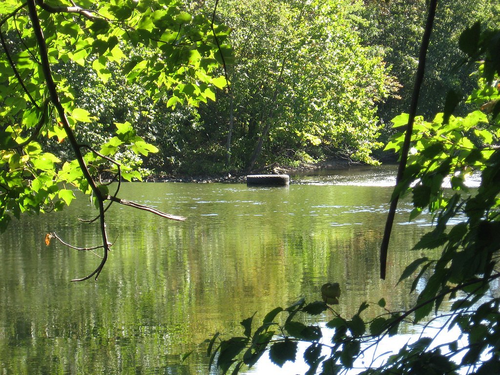 Albion Falls waterfall