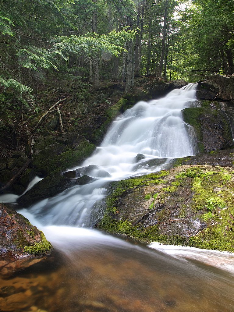Alder Falls waterfall