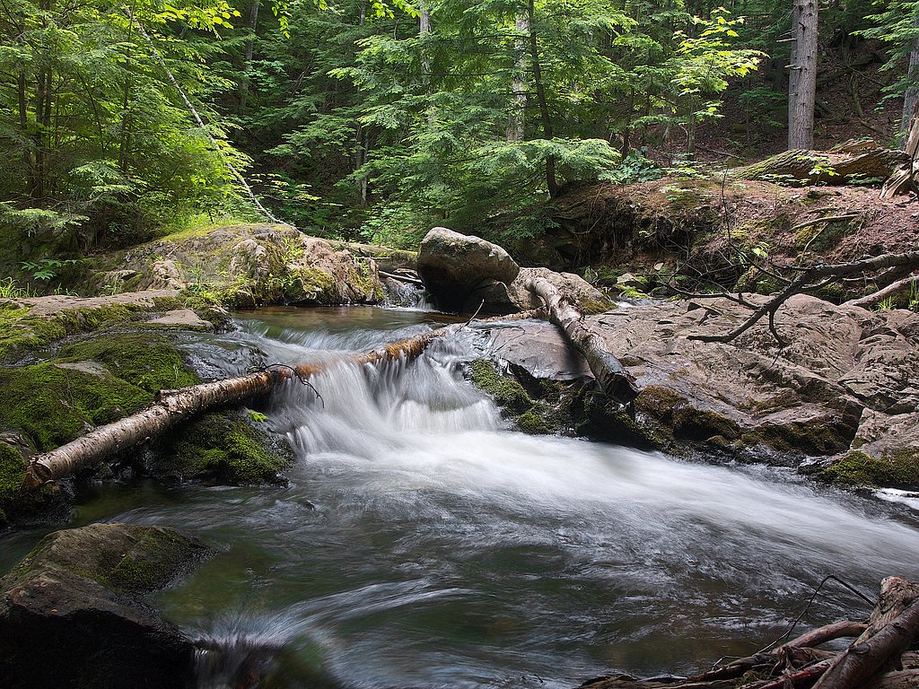 Alder Falls waterfall