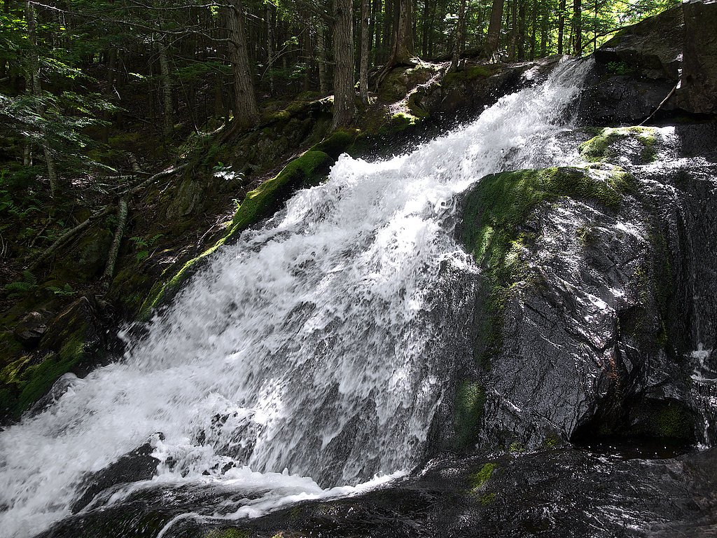 Alder Falls waterfall