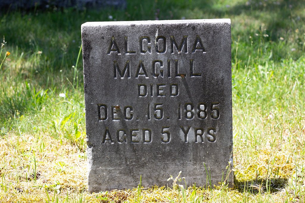 Algonquin Falls waterfall