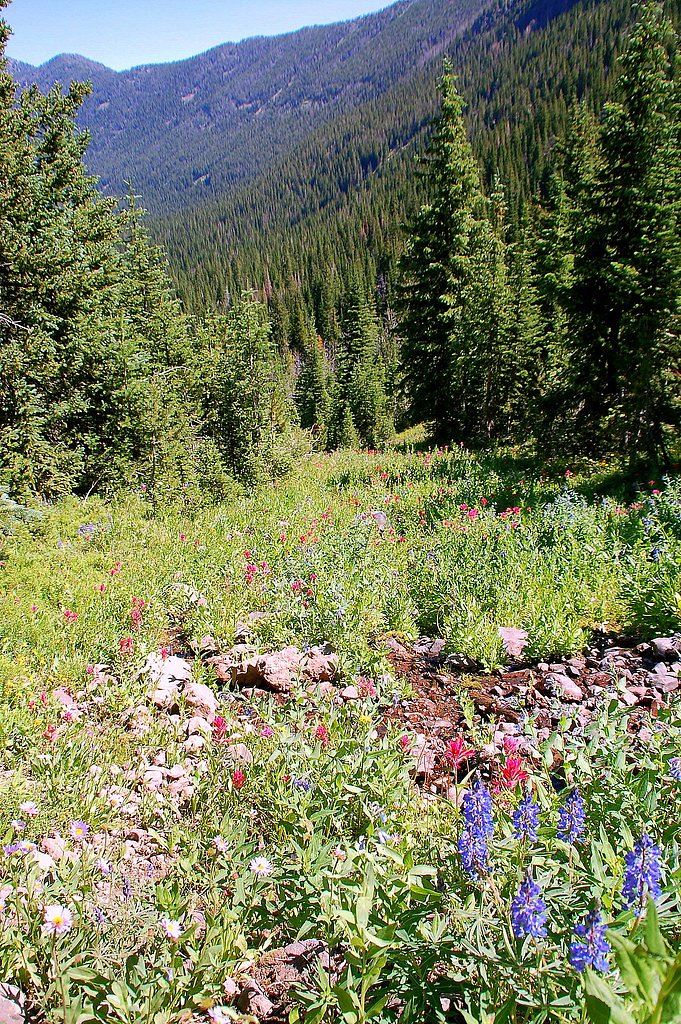 Alpine Falls waterfall