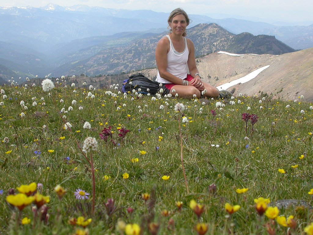 Alpine Falls waterfall