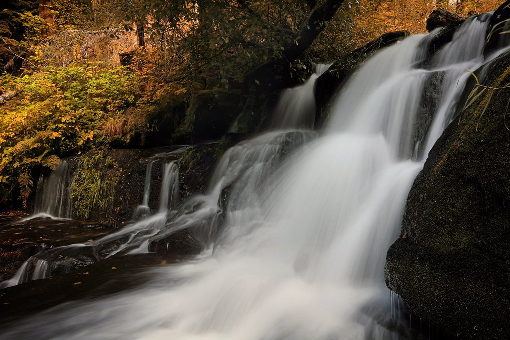 Alsea Falls waterfall