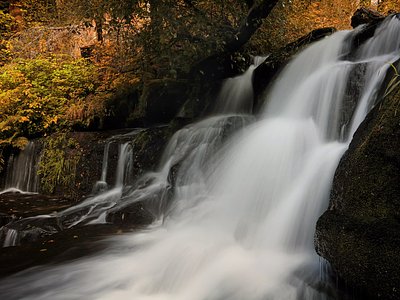 Alsea Falls