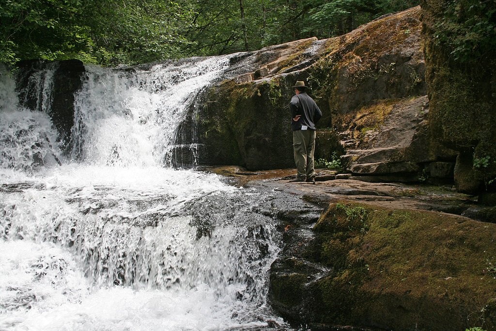 Alsea Falls waterfall