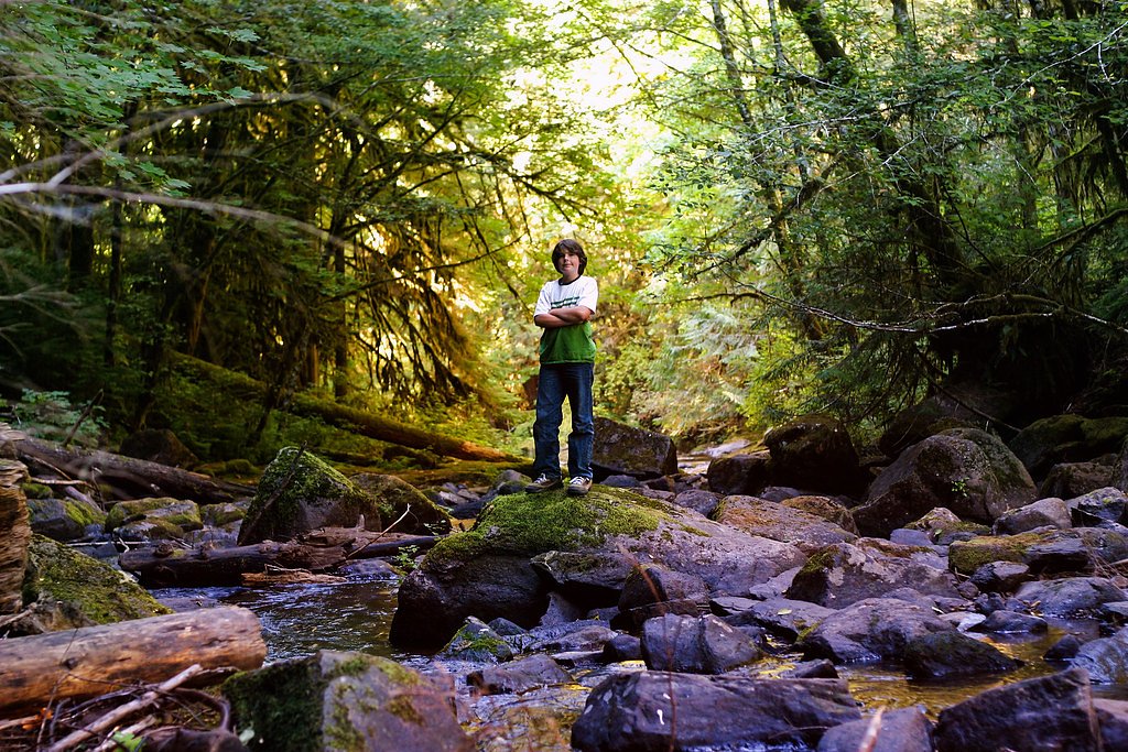 Alsea Falls waterfall