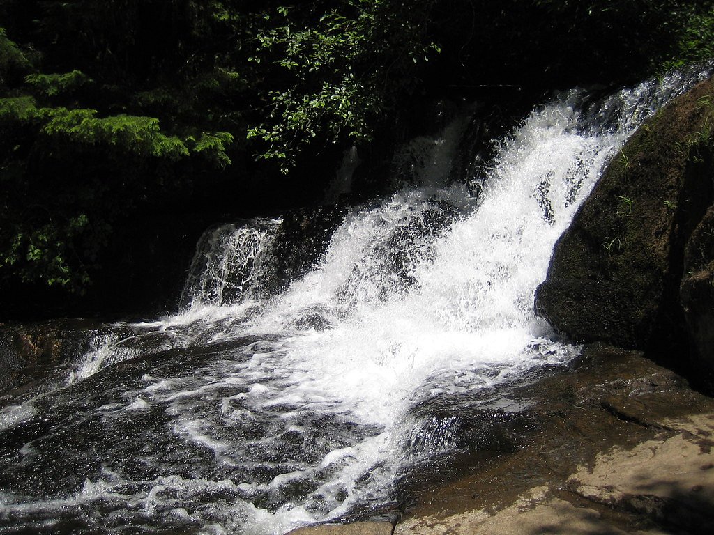 Alsea Falls waterfall