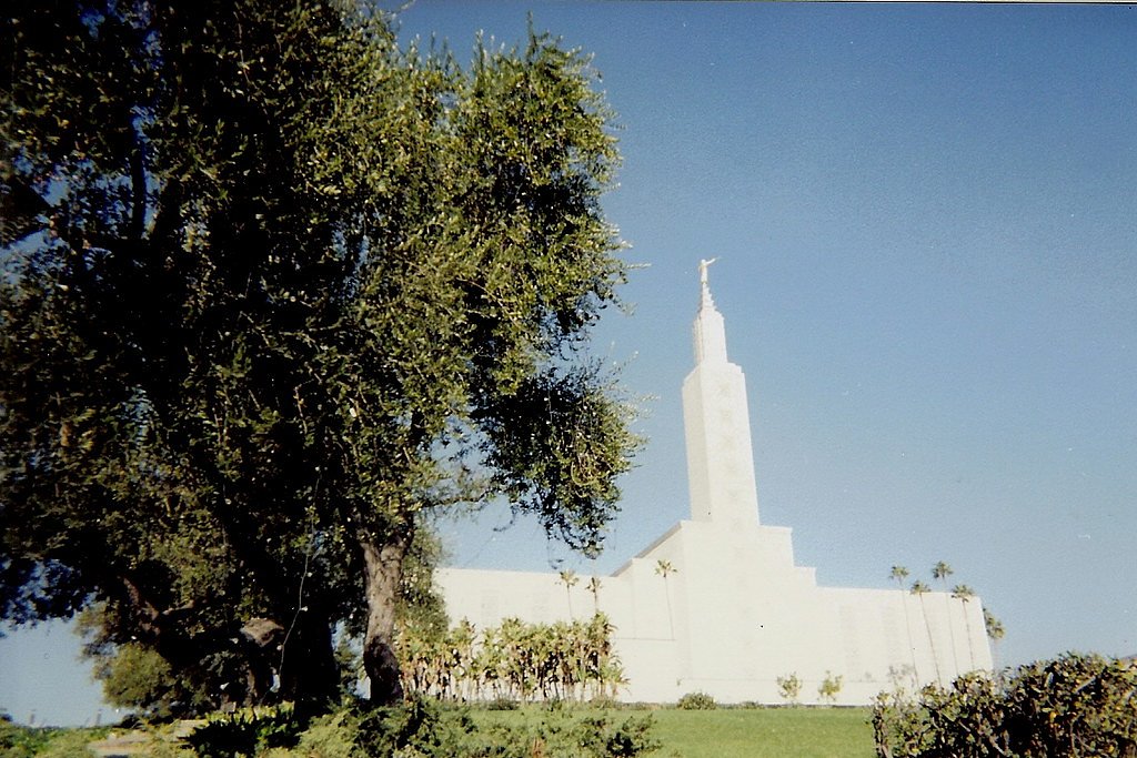 Angel Falls waterfall
