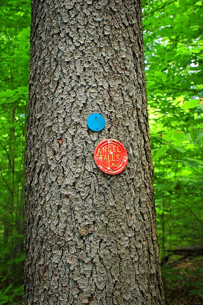Angel Falls waterfall