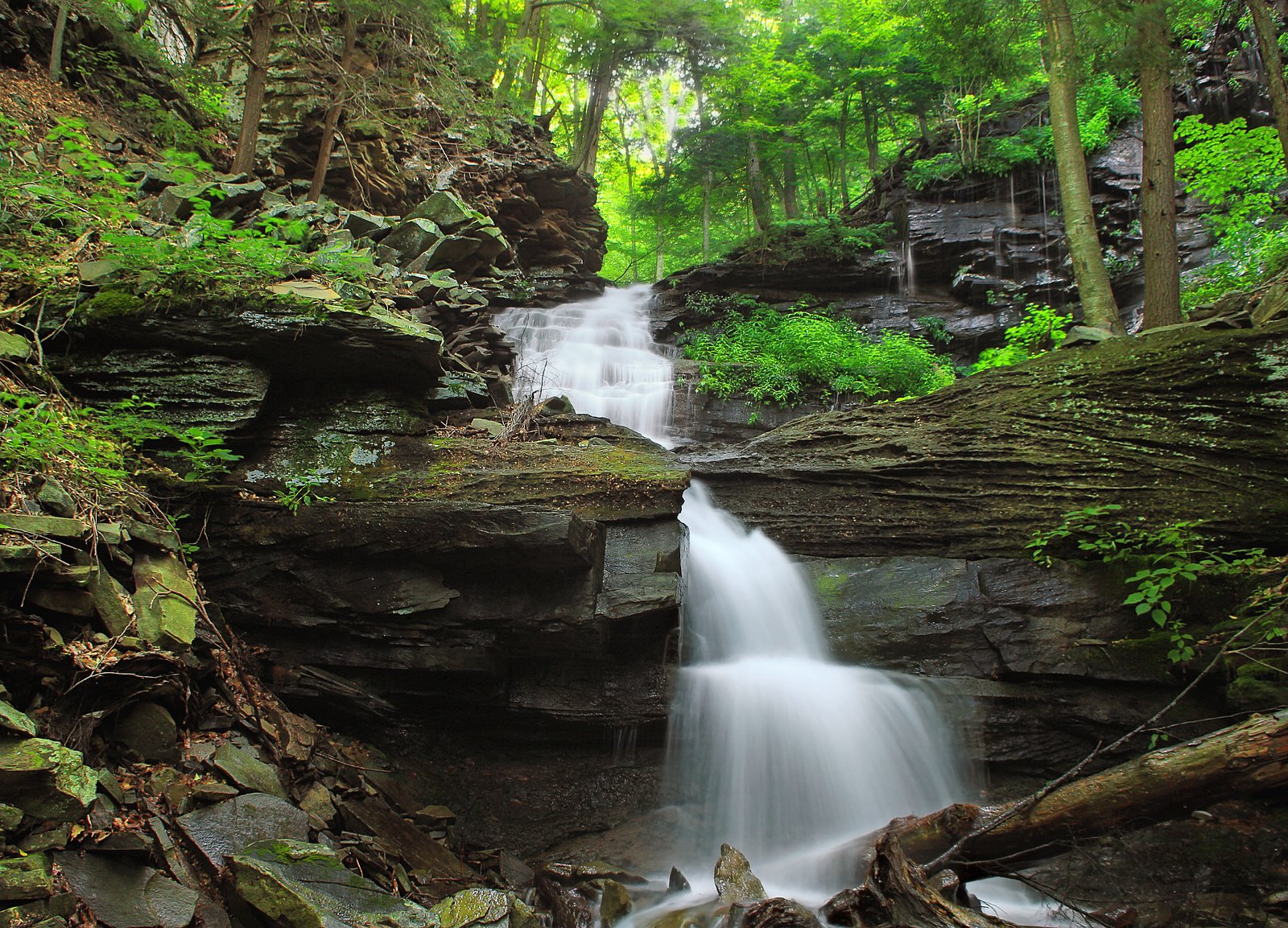 Angel Falls waterfall