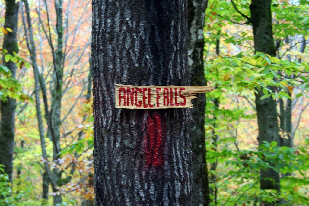 Angel Falls waterfall