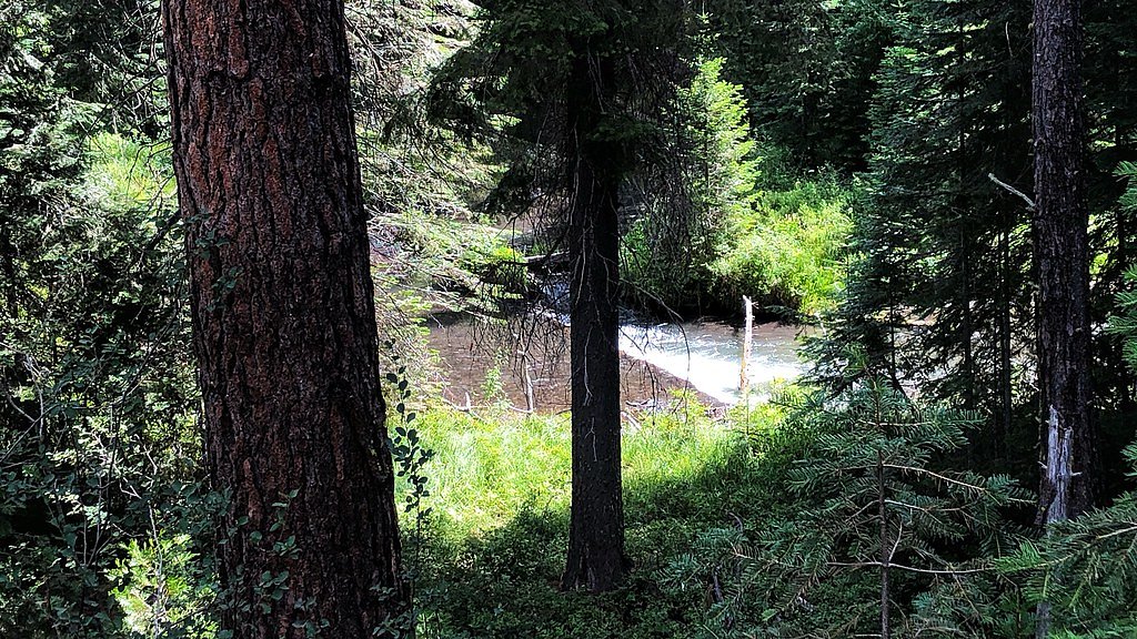 Annie Falls waterfall