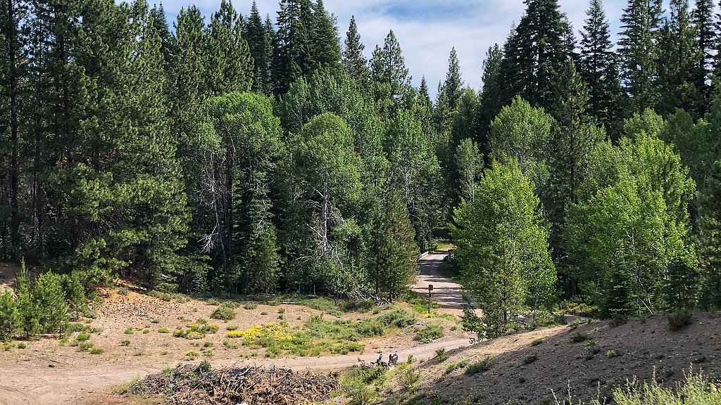 Annie Falls waterfall