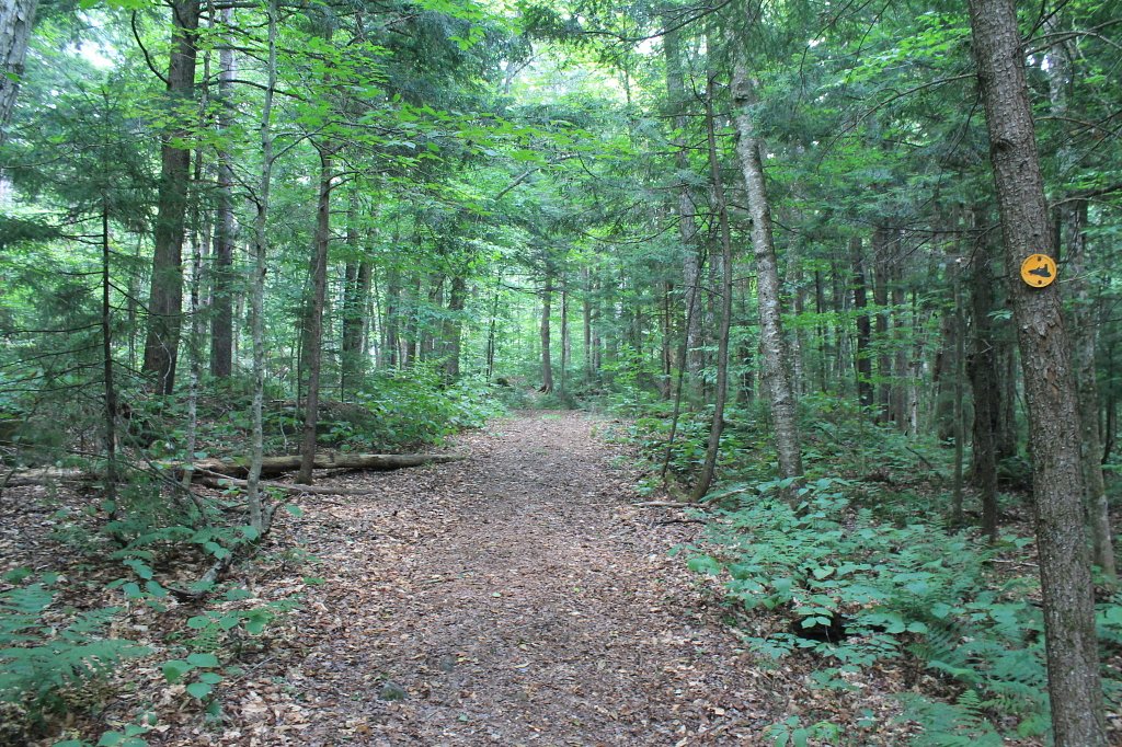 Auger Falls waterfall