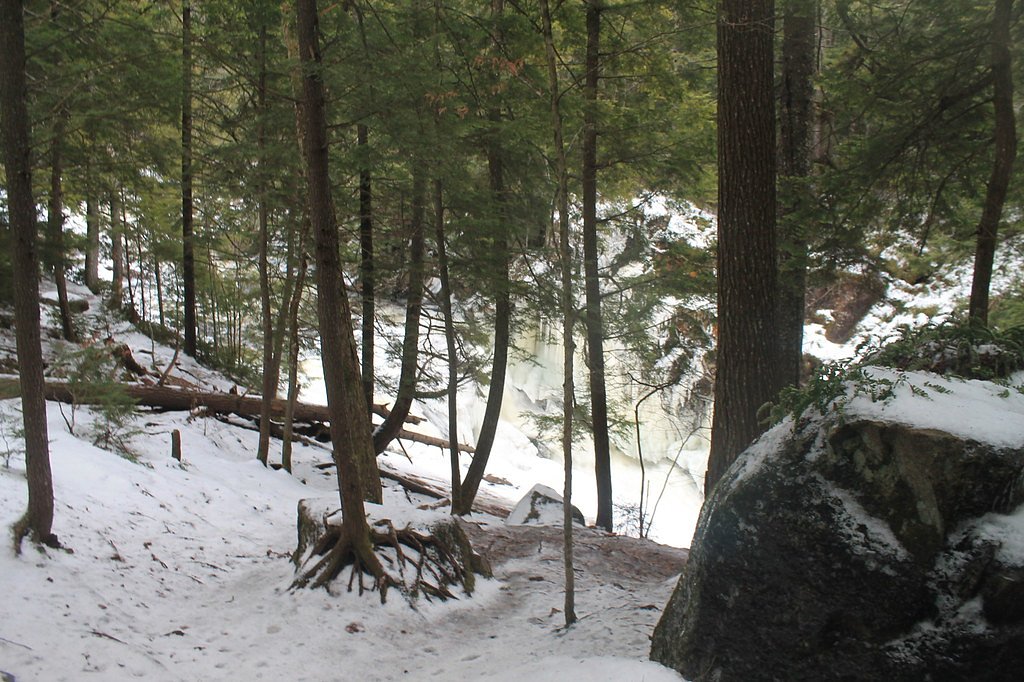Auger Falls waterfall