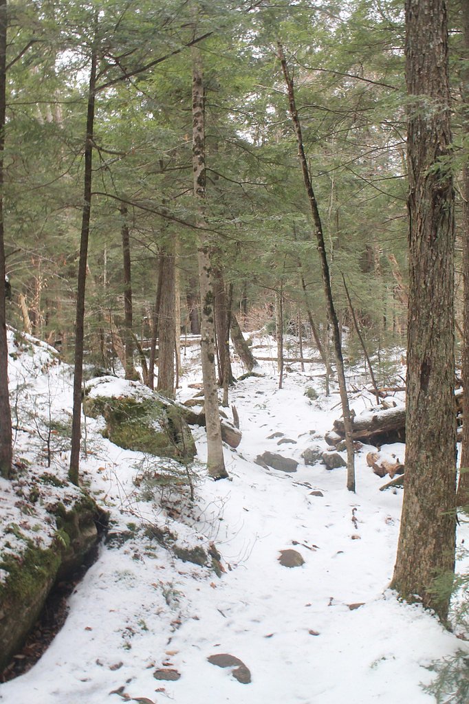Auger Falls waterfall