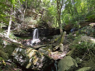 B Reynolds Falls, PA