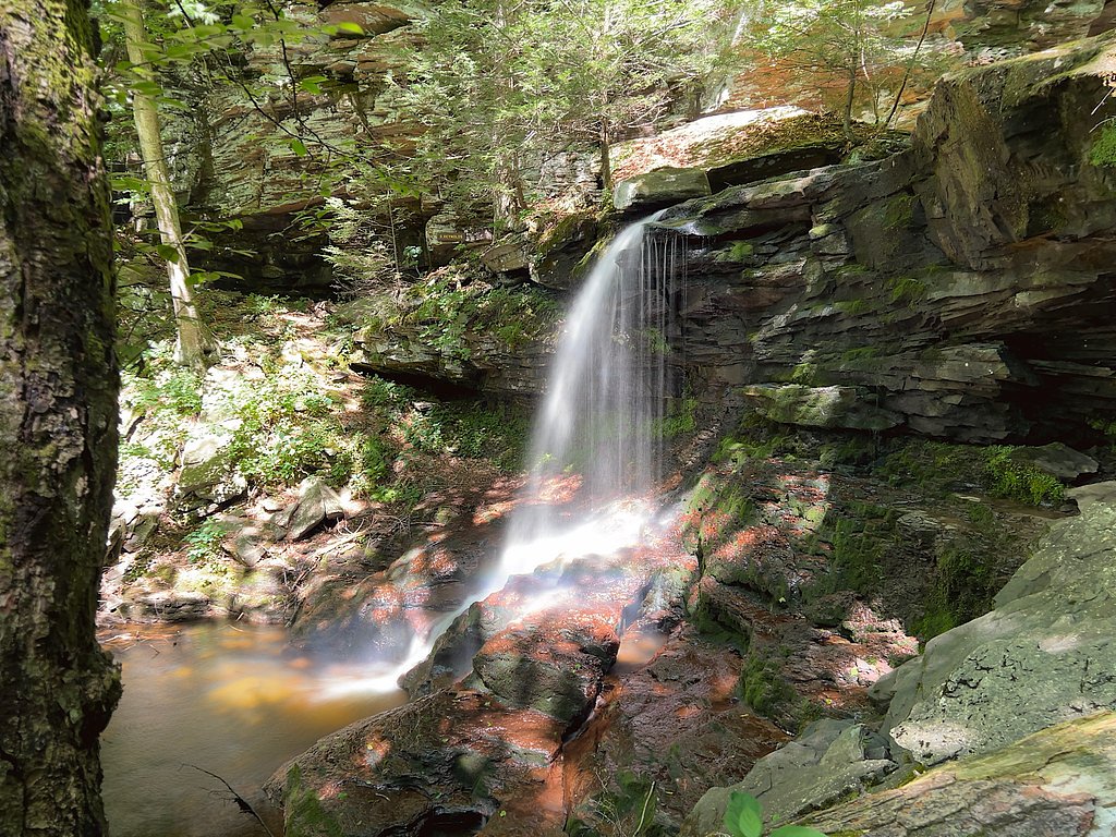 B Reynolds Falls waterfall