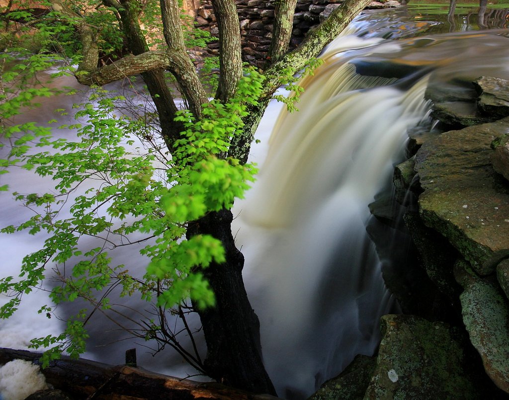 Bailey Falls waterfall