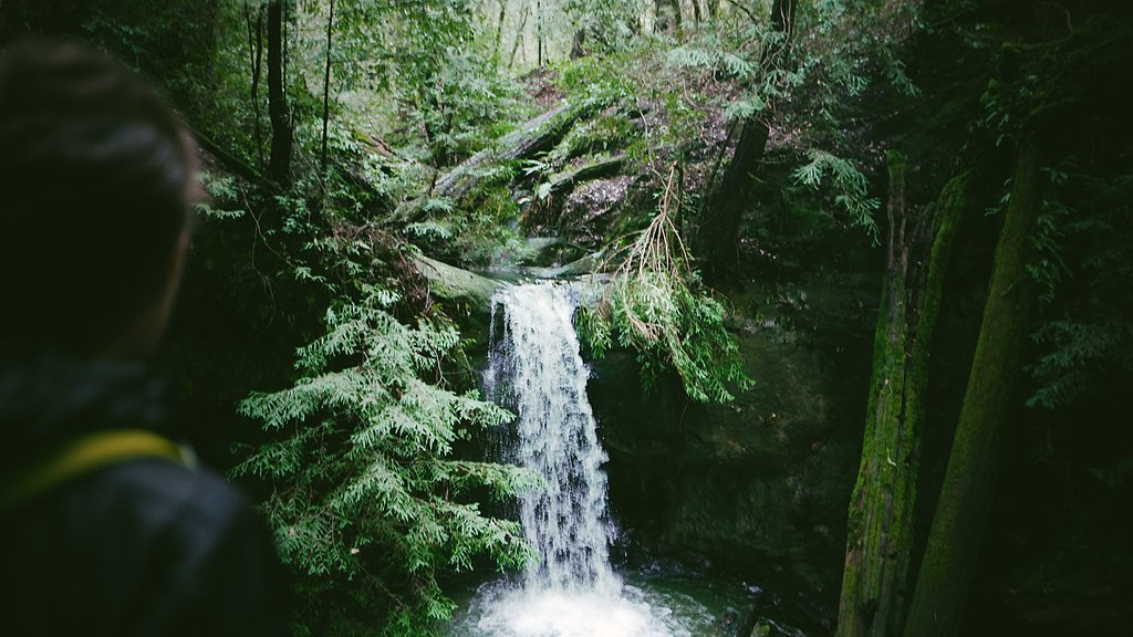 Basin Falls waterfall