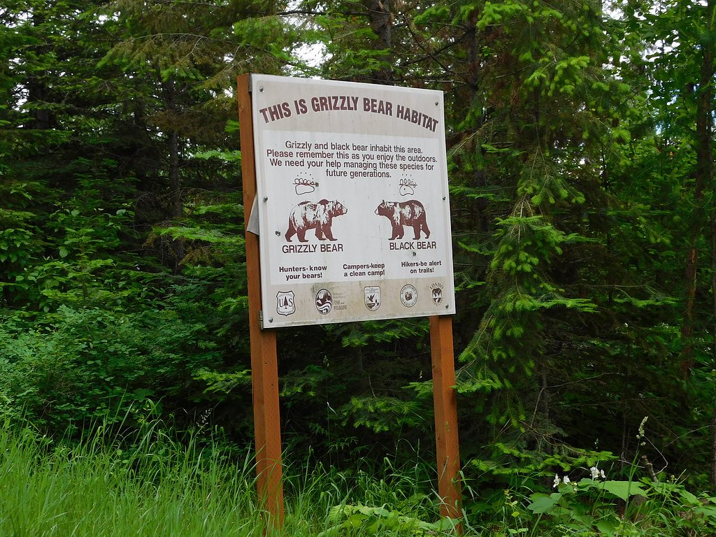Bear Creek Falls waterfall