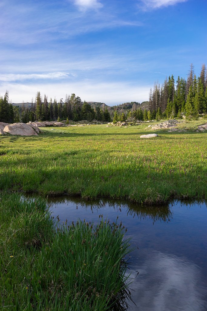 Beartooth Falls waterfall