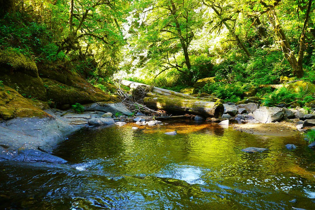 Beaver Creek Falls waterfall