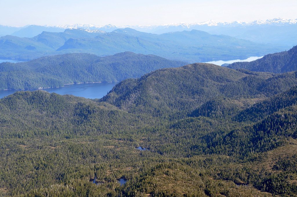 Beaver Falls waterfall
