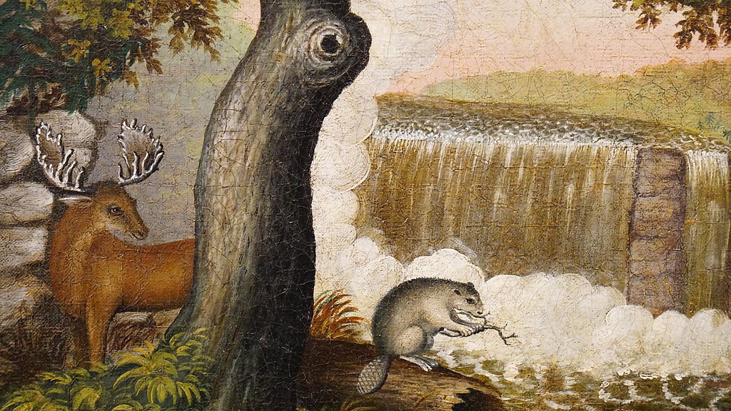 Beaver Falls waterfall