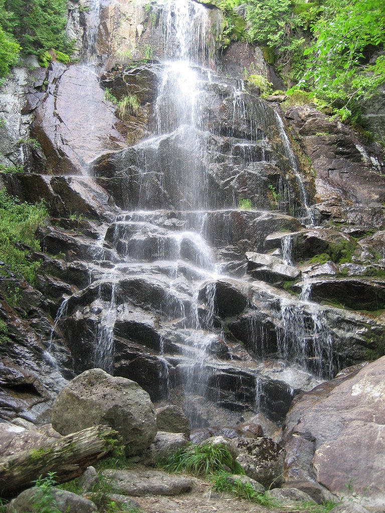 Beaver Meadows Falls waterfall