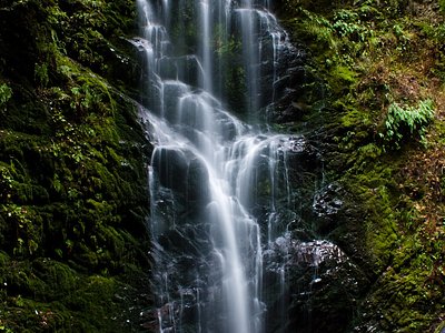 Berry Creek Falls