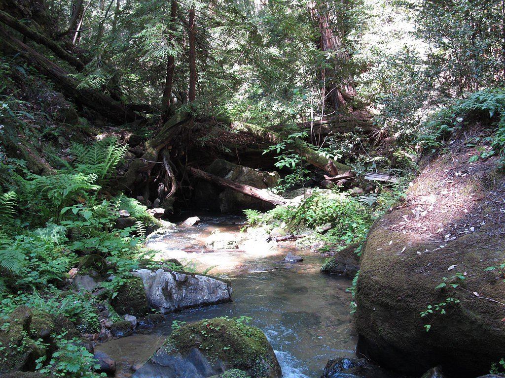 Berry Creek Falls waterfall