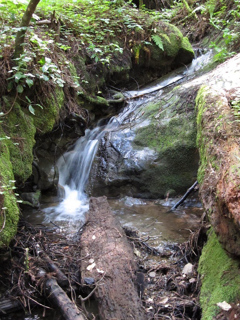 Berry Creek Falls waterfall