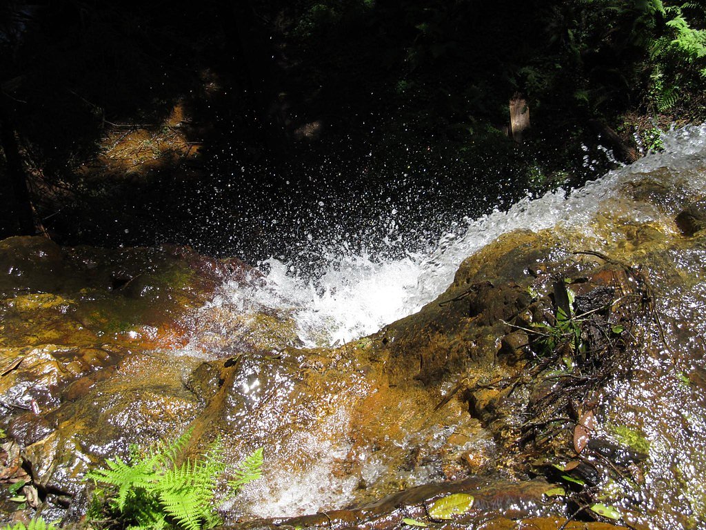 Berry Creek Falls waterfall