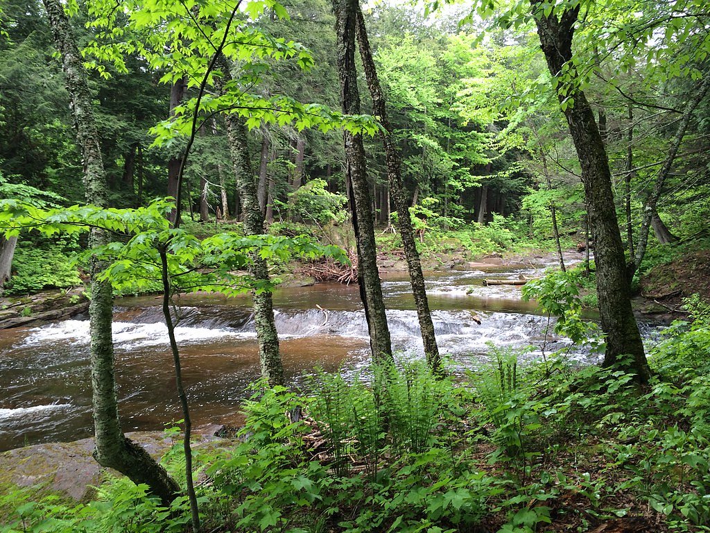 Big Carp Falls waterfall