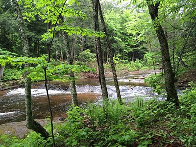 Big Carp Falls, MI