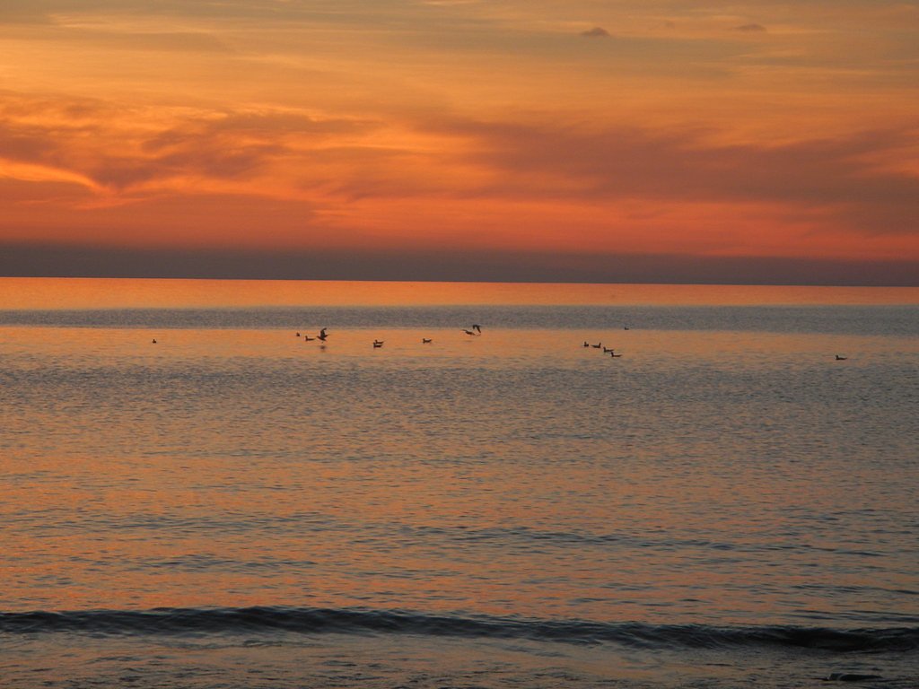 Big Carp Falls waterfall