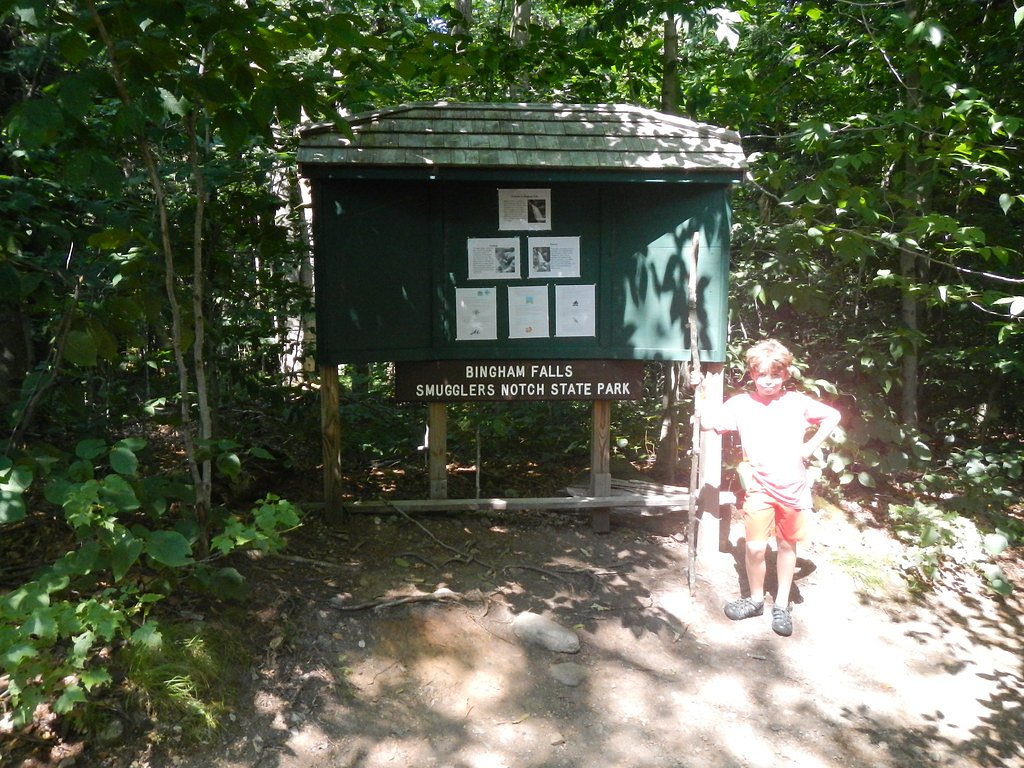 Bingham Falls waterfall