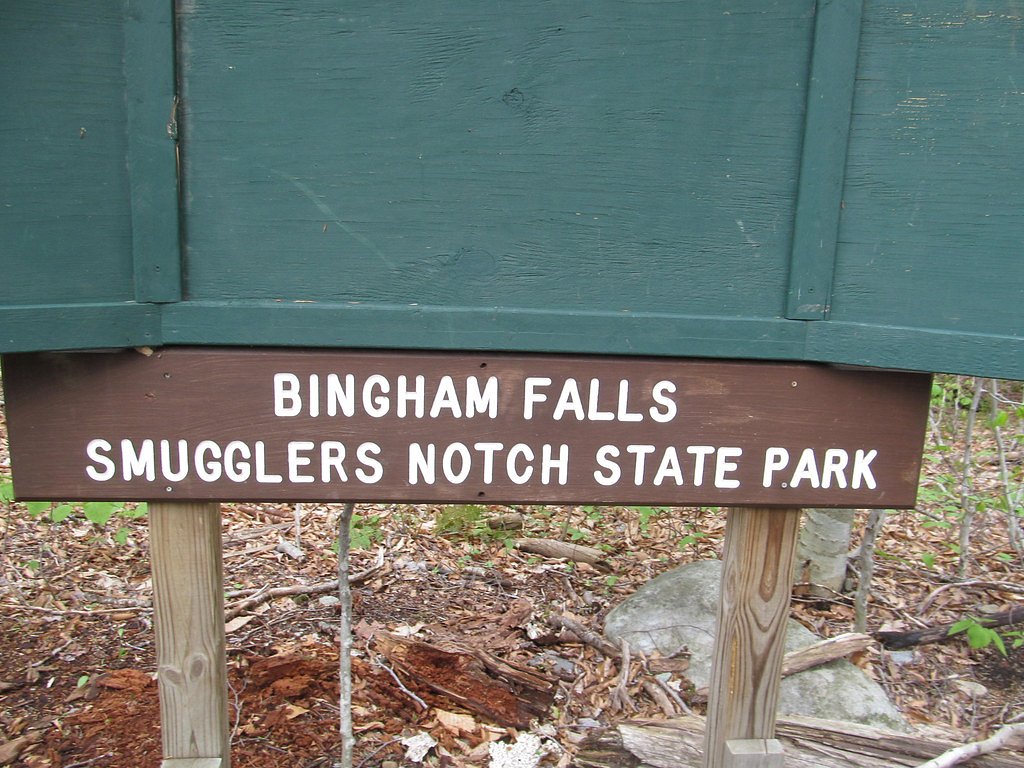 Bingham Falls waterfall