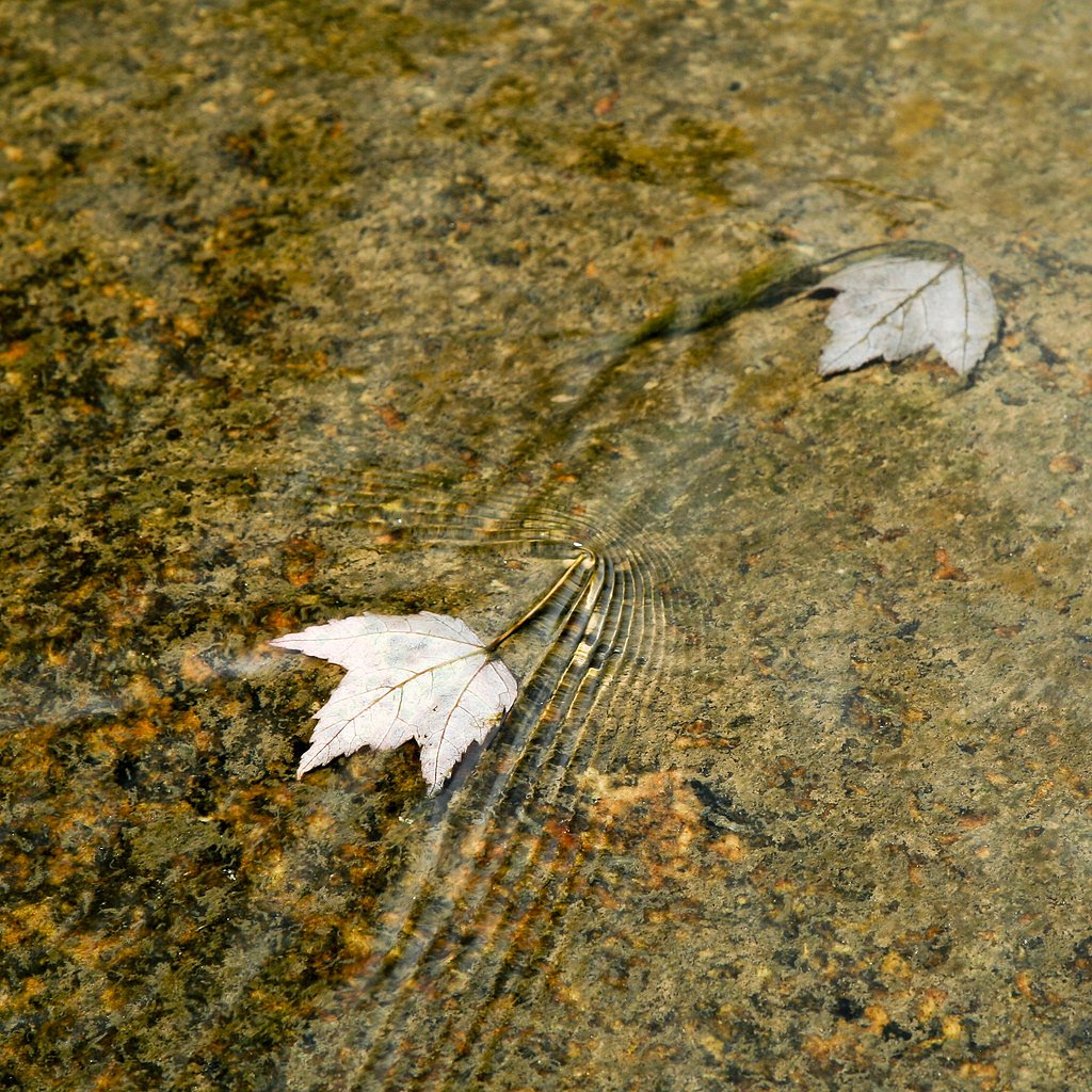 Bird Rock Falls waterfall