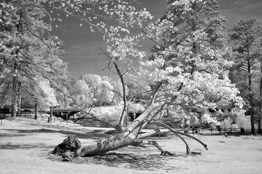 Black Falls waterfall