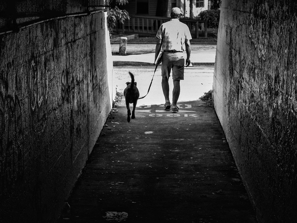 Black Falls waterfall