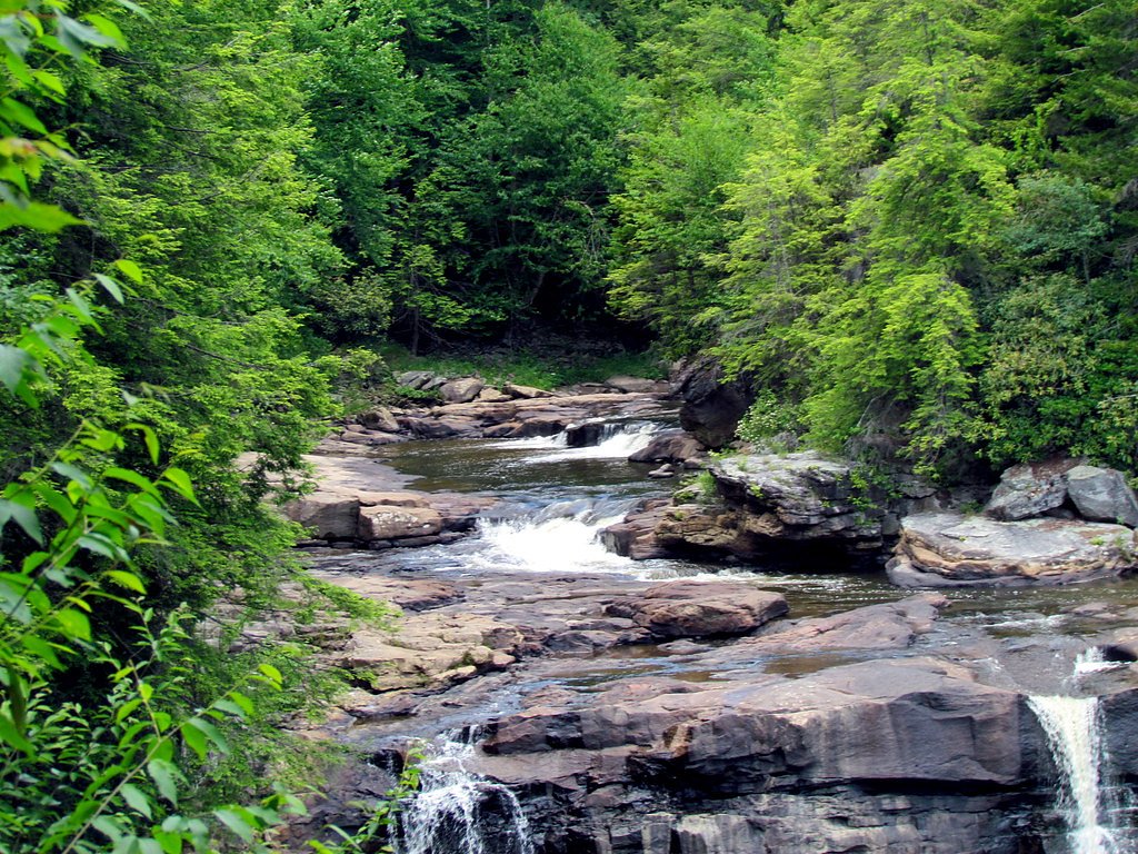 Blackwater Falls waterfall