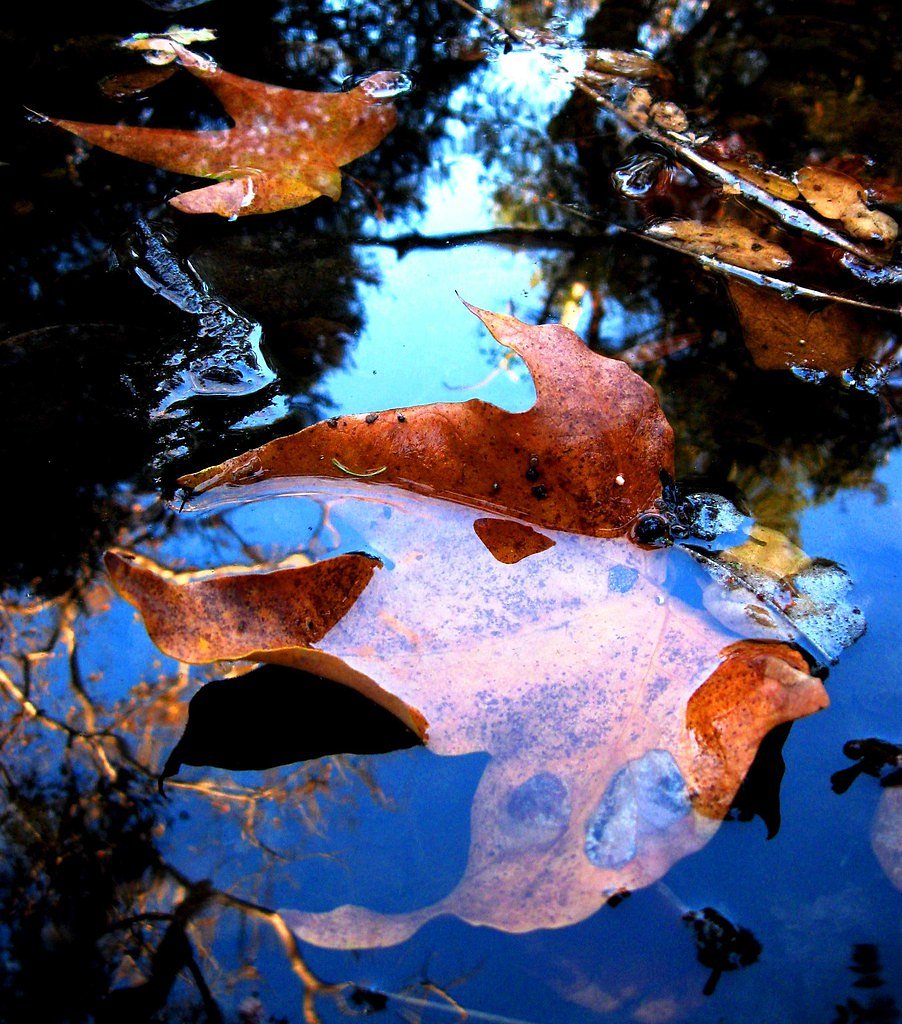 Blue Canyon Falls waterfall
