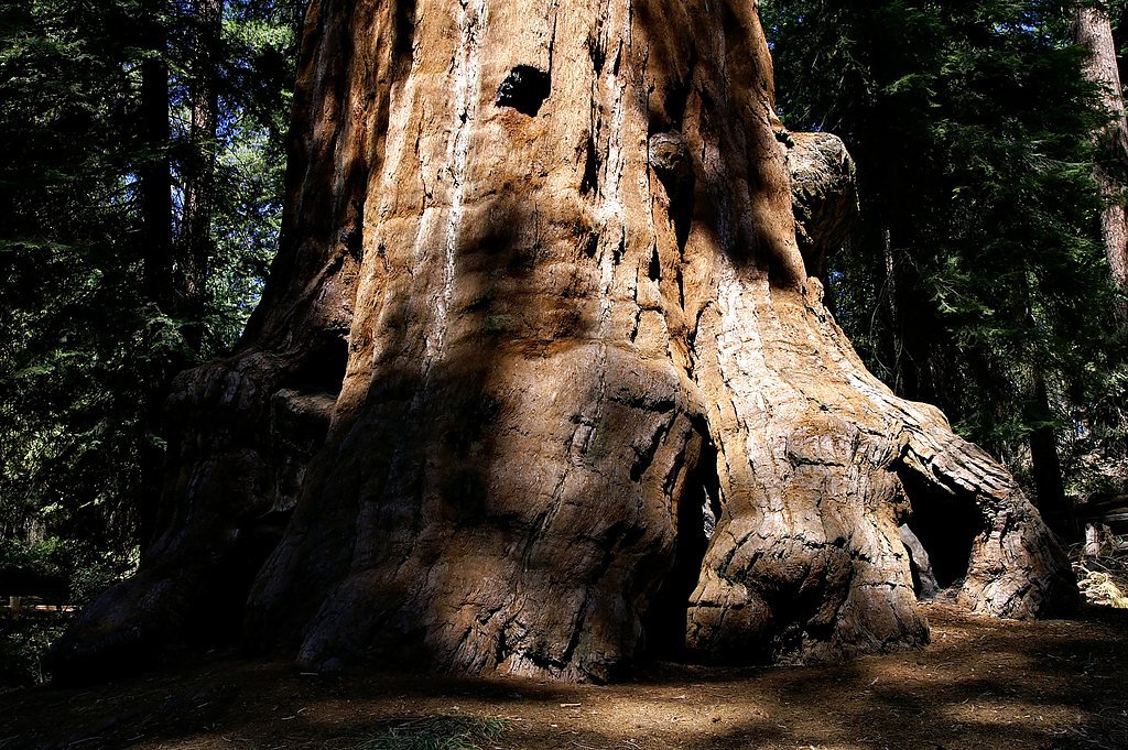Blue Canyon Falls waterfall