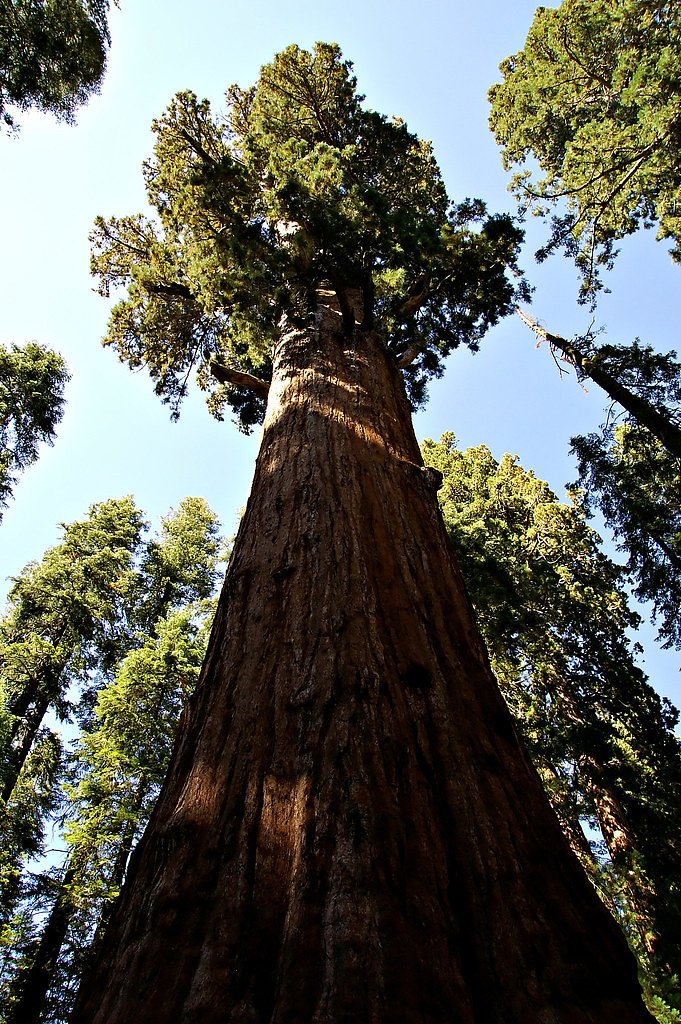 Blue Canyon Falls waterfall