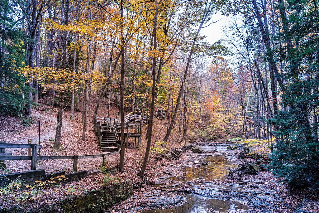 Blue Hen Falls waterfall